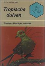 Tropische duiven 9789003980106, Boeken, Dieren en Huisdieren, Gelezen, Mark RRP van der (Regneer Rudolf Pabus) 1919-, Verzenden