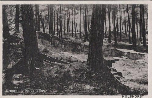 HULSHORST - Dennenbos op de Veluwe, Verzamelen, Ansichtkaarten | Nederland, Verzenden