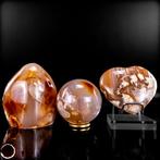 Exclusieve bloemen-aankoop-set – Zachte bloemkunst uit