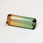 1 pcs Tweekleurig Toermalijn - 13.94 ct - International, Sieraden, Tassen en Uiterlijk, Edelstenen, Nieuw