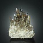 Verbazingwekkende SMOKY QUARTZ-cluster uit Cavnic, Roemenië