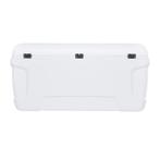 IGLOO Rigid Koelbox vanaf 100 Liter Maxcold Contour, Ophalen of Verzenden, Nieuw, Zeilboot of Motorboot