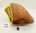 Niet-geclassificeerde NWA meteoriet Chondrite meteoriet -, Verzamelen, Mineralen en Fossielen