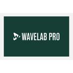 Steinberg Wavelab Pro 12 (download), Verzenden, Nieuw