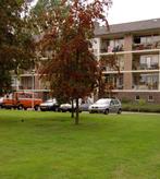 Appartement te huur in Eindhoven - 50 m² - 1 kamer(s), Huizen en Kamers, Huizen te huur, Appartement, Eindhoven, Noord-Brabant