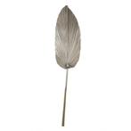 palmblad gedroogd champagne 100cm*, Huis en Inrichting, Woonaccessoires | Overige, Verzenden, Nieuw