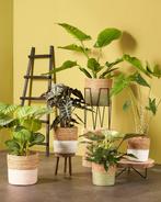 2dekans | Mica Decorations Pia Boomstam Bijzettafel - H14 x, Ophalen of Verzenden, Zo goed als nieuw