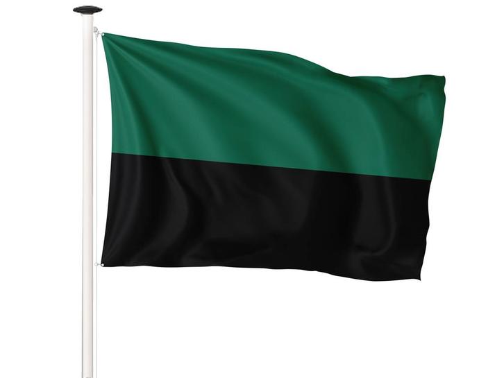 Vlag Texel 150x225cm (voor masten 6 en 7 meter), Diversen, Vlaggen en Wimpels, Nieuw