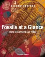9781405193368 Fossils At A Glance | Tweedehands, Clare Milsom, Zo goed als nieuw, Verzenden