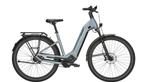 PEGASUS ESTREMO EVO 12 Lite 50 en 55cm, Overige merken, Nieuw, Ophalen of Verzenden, 51 tot 55 cm