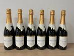 2013 Nyetimber, Tillington Single Vineyard - Worcester Brut, Nieuw