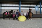 Schriktraining op locatie door HEEL NEDERLAND!, Dieren en Toebehoren, Paarden, Merrie, B, 7 tot 10 jaar, 160 tot 165 cm