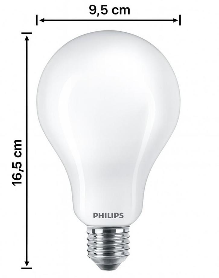 Philips LED lamp A95 E27 23W 3452lm 2700K | Melkglas | Ni..., Huis en Inrichting, Lampen | Overige, Nieuw, Ophalen of Verzenden