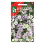 Bloemzaden Juffertje in het Groen | VT, Verzenden