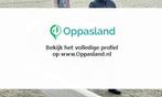 fleur zoekt een oppas in Wadenoijen voor 1 kind op maanda..., Nieuw