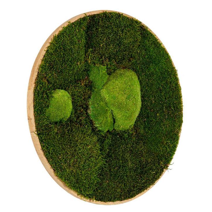 Vintlux Mosschilderij Rond 40 cm Ongelakt Eiken - Esbjerg, Huis en Inrichting, Woonaccessoires | Lijsten