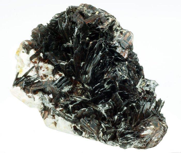 Hubnerite en Quartz Kristallen op matrix - Hoogte: 85 mm -, Verzamelen, Mineralen en Fossielen