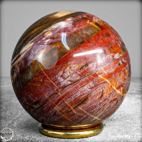 Natuurlijke versteende houten bal van Madagaskar- 600.61 g, Verzamelen, Mineralen en Fossielen