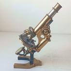 Monocular compound microscope - 1891 - Oostenrijk - C.