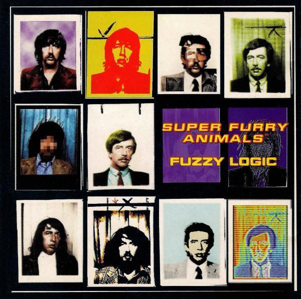 cd - Super Furry Animals - Fuzzy Logic, Cd's en Dvd's, Cd's | Overige Cd's, Zo goed als nieuw, Verzenden