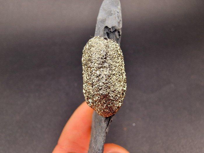 pyriet Pyriet gesteente fossielen - Hoogte: 85 mm - Breedte:, Verzamelen, Mineralen en Fossielen