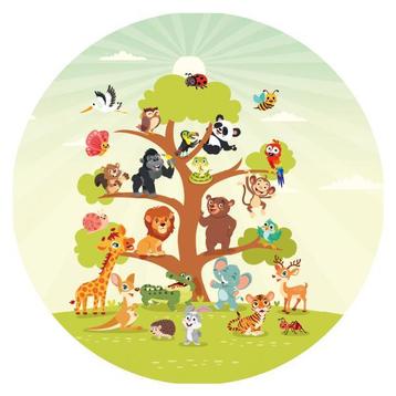 Babykamer Muurcirkel stickers Wanddecoratie beschikbaar voor biedingen