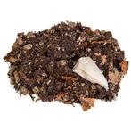 Isopods Kweekbodem – Compleet Substraat met Voeding & Sepia, Dieren en Toebehoren