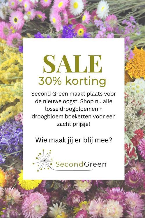 SALE! -30% op droogbloemen &amp; boeketten bij Second Green, Huis en Inrichting, Woonaccessoires | Droogbloemen, Nieuw, Ophalen of Verzenden
