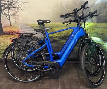 Victoria 11.8 E-Bikes (Set van 2) | Garantie | Riem | Bosch beschikbaar voor biedingen