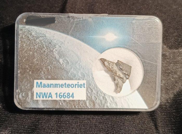 Geclassificeerde NWA meteoriet NWA 16684 - Lunar meteorite, Verzamelen, Mineralen en Fossielen