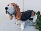 Beeld, image of a Basset hound - 32 cm - polyresin, Antiek en Kunst, Kunst | Designobjecten