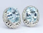 Oorbellen - 18 karaat Witgoud - 14.18ct. tw. Aquamarijn -, Nieuw