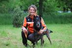 Dogtraining Patricia, Dogwalking &amp; Doghousing Patricia, Pension of Dagopvang