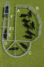 behandelbox weidepaneel behandelinstallatie koeien rund, Weidegang