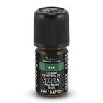 Beauty & Care Spar etherische olie 5 ml.  new, Ophalen of Verzenden, Nieuw, Aroma