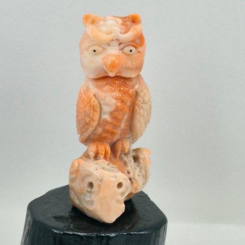 sculptuur, GUFO IN CORALLO - 7 cm - koraal, Verzamelen, Dierenverzamelingen