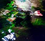 Viet Ha Tran - Reflection