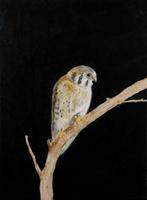 Matthieu van Riel - Bird, Antiek en Kunst