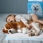 Puppy Training Pads - 60x60cm - 20 stuks - Nobleza, Dieren en Toebehoren, Verzenden, Zo goed als nieuw