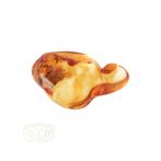Barnsteen ( Amber )  trommelsteen Nr 4 - Litouwen, Verzenden, Nieuw