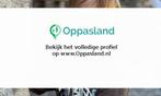 Oksana zoekt een oppas in Haarlem voor 1 kind op dinsdag,..., Vacatures, Vacatures | Juridisch en Fiscaal