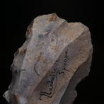 Neolithisch Vuursteen. 15,5 cm L. Mes - 5000 v.Chr. Bijl, Verzamelen