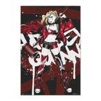 Poster DC Comics Harley Quinn Anime 61x91,5cm, Verzamelen, Posters, Verzenden, Nieuw, A1 t/m A3