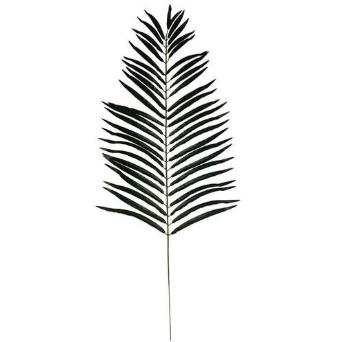 116cm. GIANT PALMLeaf Palmblad Groen /st botanical style, Huis en Inrichting, Woonaccessoires | Kunstplanten en Kunstbloemen, Nieuw
