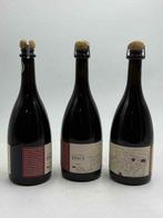 2022 Brice Bouzy Coteaux Champenois Pinot Noir - Champagne -, Nieuw
