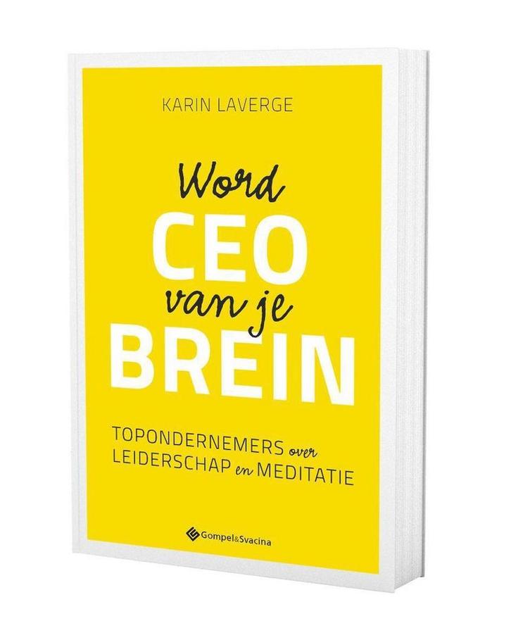 Word CEO van je brein 9789463713207 Karin Laverge, Boeken, Esoterie en Spiritualiteit, Zo goed als nieuw, Verzenden