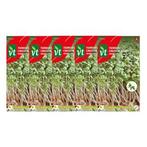 Tuinkers zaad | VT | 5 stuks, Verzenden