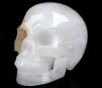 1,21 kg 12,20 X 9,10 X 8,10 cm XXL Morbide Art schedel