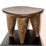 Kruk met vier poten – West-Afrika - Burkina Faso (Zonder