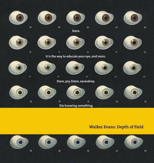 Walker Evans Depth Of Field 9783791382234 John t. Hill, Boeken, Overige Boeken, Zo goed als nieuw, Verzenden